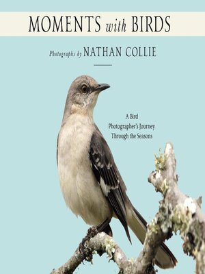 cover image of Moments with Birds